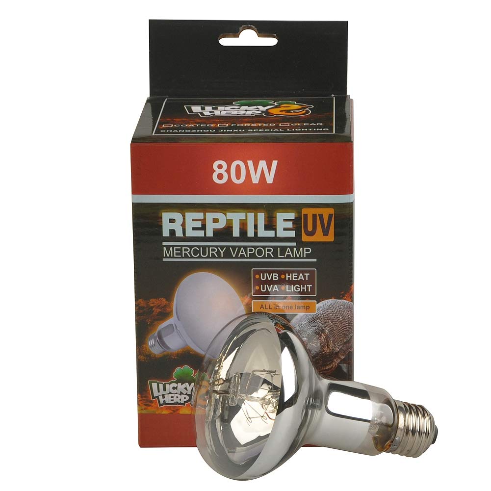 LUCKY HERP Reptile UVA UVB Mercury Vapour Bulb Lamp,80 Watt,R80,E27 Screw Thread,Six-Month Guarantee (Clear)
