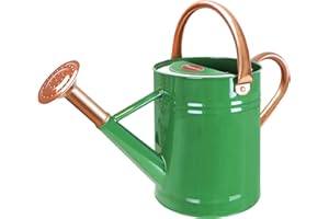 Megawodar 1 Gallon Metal Watering Can with Removable Spout, Nice Galvanized Steel Water Can for Indoor and Outdoor Plants (House Plants)