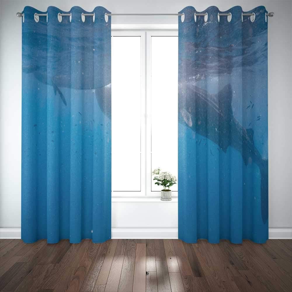 Capsceoll 52X 63 Inch 2 Panels Whale Shark Watching in Closeup Cebu Fed Krill Window Curtain Panels for Home Kitchen Bedroom,Girls and Boys Curtains