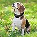 Petrainer Anti Bark Dog Collar Training System, Electric No Bark Shock Control with 7 Adjustable Sensitivity Control