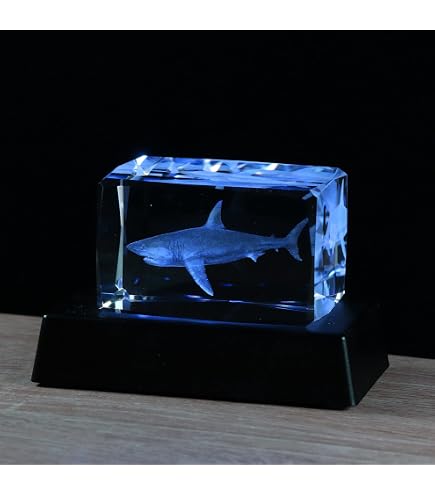 3D Crystal Ball Shark With LED Base – Laser Engraved Glass Ornament, 80mm, Gift For Shark Lovers-781011