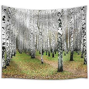 Rows of Aspen Trees in a Forest - Fabric Tapestry, Home Decor - 51x60 inches