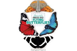 Beautiful Press-Out Flying Butterflies