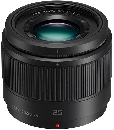 LUMIX GH5 LEICA DG SUMMILUX 25mm/F1.4レンズ Panasonic Leica DG Summilux 25mm f/1.4 ASPH Review