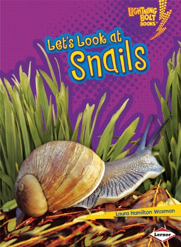 Let s look at snails (lightning bolt books)