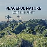 Say Yes to Adventure