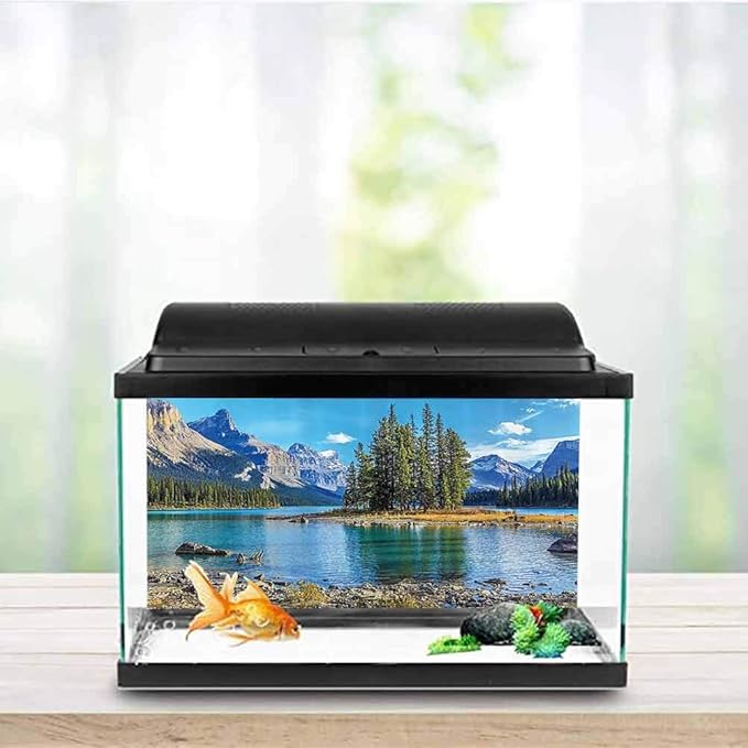 aquarium backgrounds canada