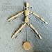 Wooden Drawing Mannequin Wood Artist Figure Doll Model Manikin with Flexible Posable Joints for Sketch Charcoal Home Office Desk Decoration Children Toys Gift 12''Female