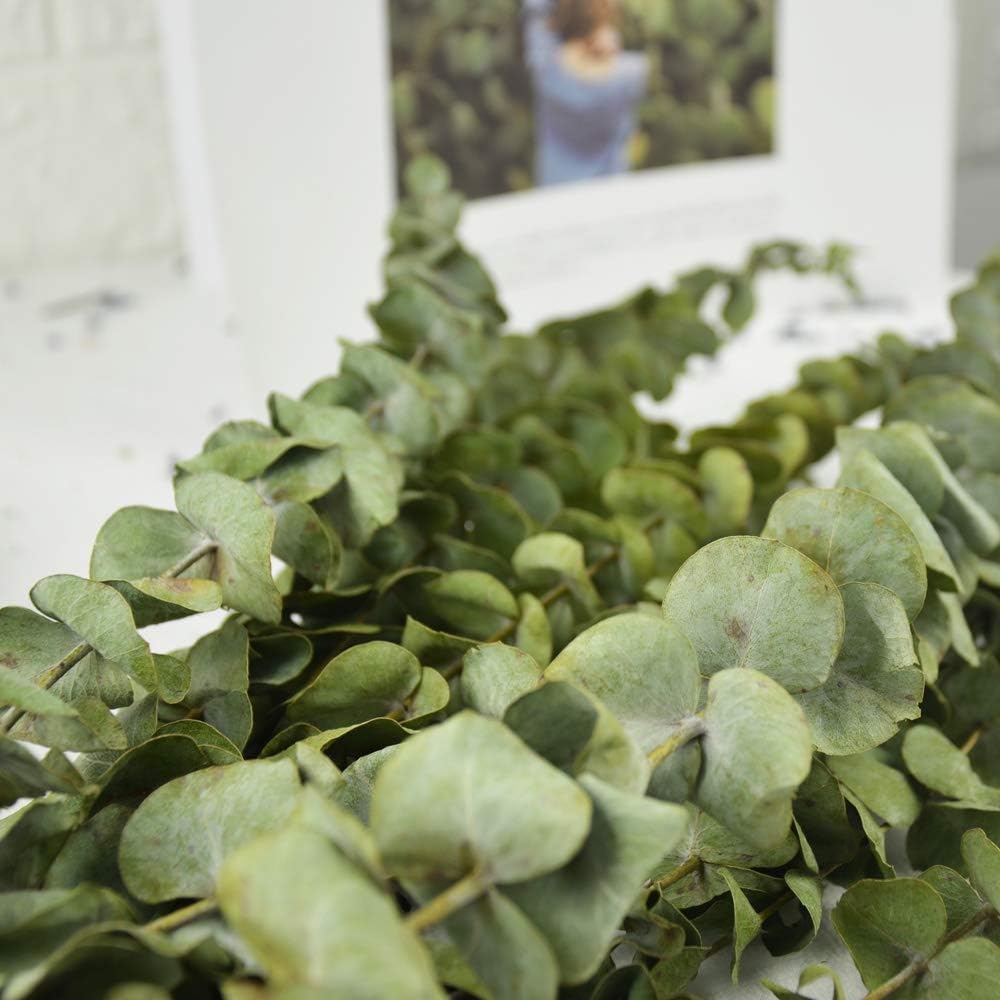Foglie Artificiali Di Monstera Con Gambo Lungo Tropicale Foglie Di Piante Finte Foglie Di Palma - 7