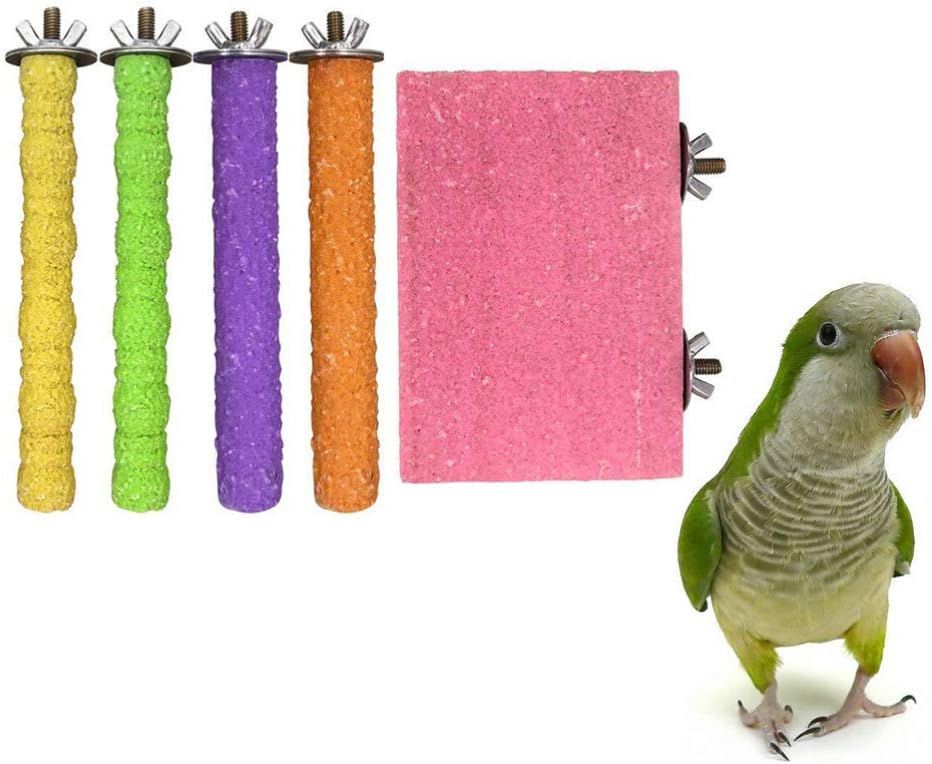 WMF Profi Plus Spazzola Di Ricambio 6056231890 | Design Circolare | Lavabile In Lavastoviglie - Foto 4