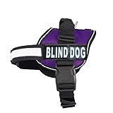 Doggie Stylz Blind Dog Vest Harness with Removable