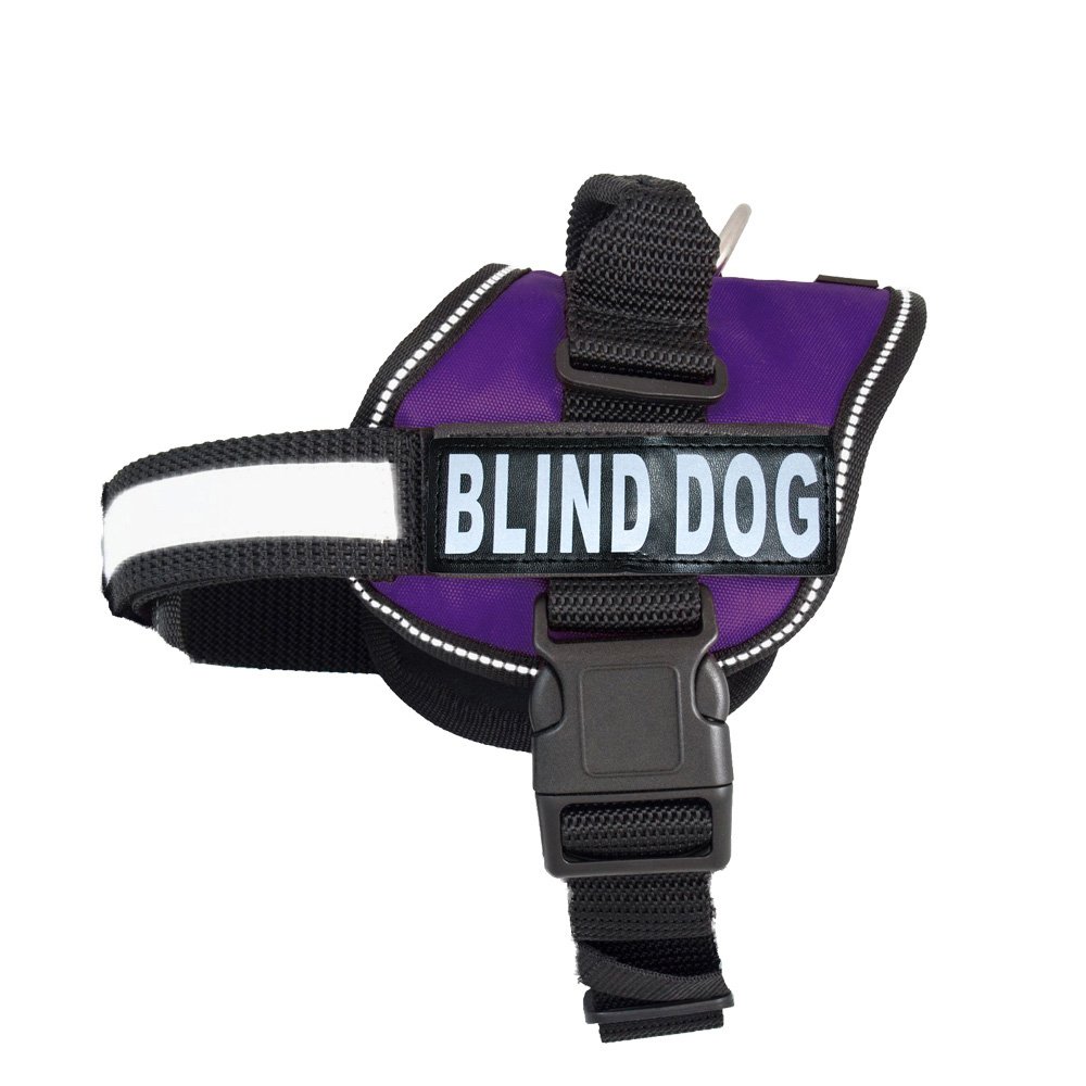 Doggie Stylz Blind Dog Vest Harness with Removable Patches and Reflective Trim. Comes with 2 Blind Dog Reflective Hook and Loop Patches. Measure Dogs Girth Before Purchase (Girth 28”-38" Purple)