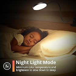 iFalarila Reading Light with Remote, LED Desk Lamp