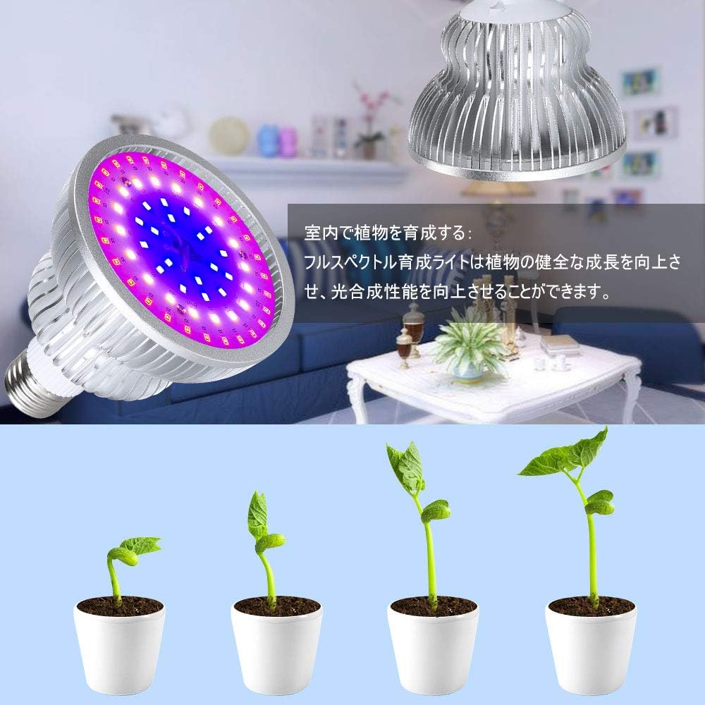 夫婦 スプーン 花弁 植物 光合成 ライト B Dogs Jp