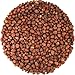 Organic Radish Seeds for Sprouting by Food to Live (Kosher, Bulk) — 8 Ounces