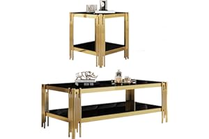 SSLine Modern 2 Piece Living Room Table Set, Includes 1 Coffee Table & 1 End Tables, Luxury 2-Tier Glass Coffee Table Set with Stainless Steel Frame Legs, Black & Gold