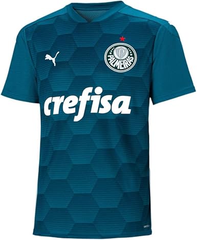 camisa palmeiras goleiro puma