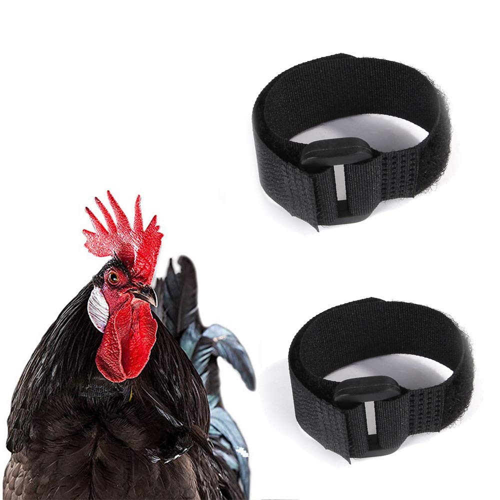 N / A 2PCS No Crow Rooster Collar Anti-Hook Chicken Collar Noise Free Neckband Collars for Chicken, Ducks, Goose (Upgraded B, Black)