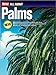 All About Palms by
