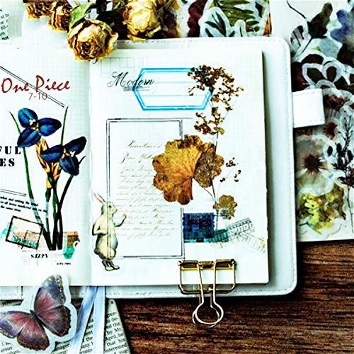 DIY Decorative Sticker, Natural Collection Series Washi Sticker for Album Diary Album Notebook Scrapbook Lifelog Cute Stationery Sticker, Pack of 60pc (#8)