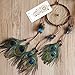 Ricdecor Indian Dream Catcher Wind Chimes Feather Pendant Wall Hanging Home Decoration (Peacock Feathers)