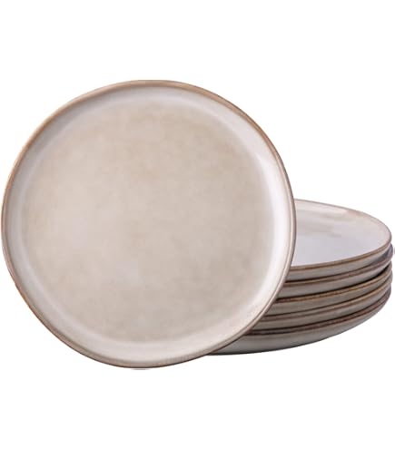 Amazon.com | Michael Wainwright Raku Stoneware Salad Plate, 9.25