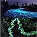 Amgate 100 Pcs Colorful Glow in the Dark Luminous Pebbles for Walkway | Yard & Fish Tank decorative stones