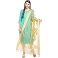 DUPATTA BAZAAR Woman's Organza Dupatta with Gold Embroidery