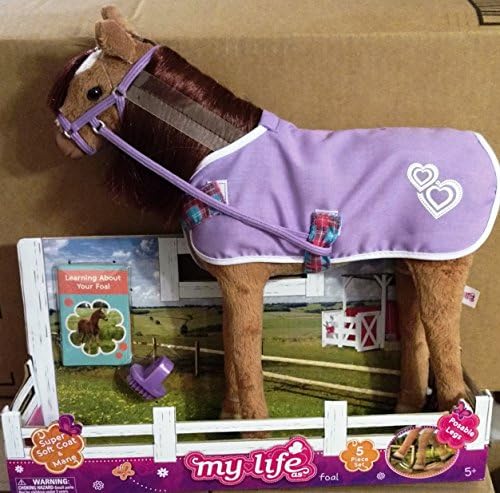 Woman Owned My life as a foal, Chestnut 12" Posable, 5 Piece set