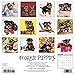 Just Yorkie Puppies 2017 Wall Calendar