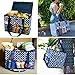 Picnic at Ascot Collapsible Storage Container/Organizer for Home and Trunk - Designed & Quality Approved in the USA
