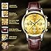 Mens Watches Men Luxury Chronograph Waterproof Sport Date Business Analogue Brown Leather Wrist Watch (Gold)