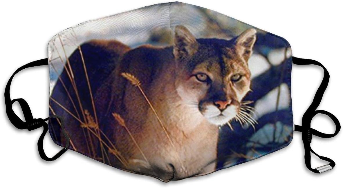 Ksiwo Wild Cougar in Snow Wildlife Mountain Lion Anti Flu and Saw Dust Masks - for Outdoor Half Face Masks - Protection Pollution Face Flu Allergens Masks for Women Man.