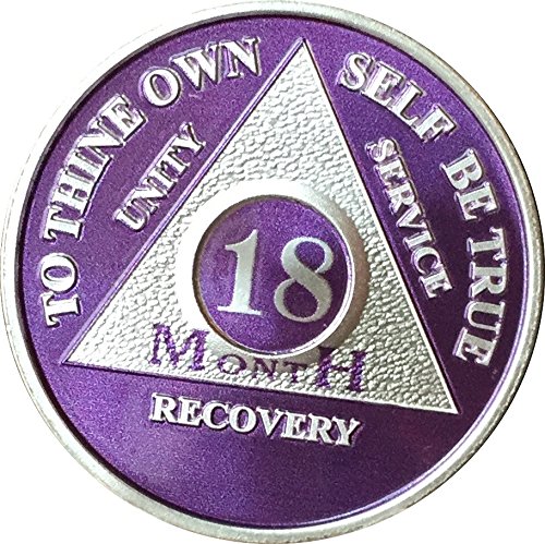 18 Month Purple Silver Plated AA Medallion Chip