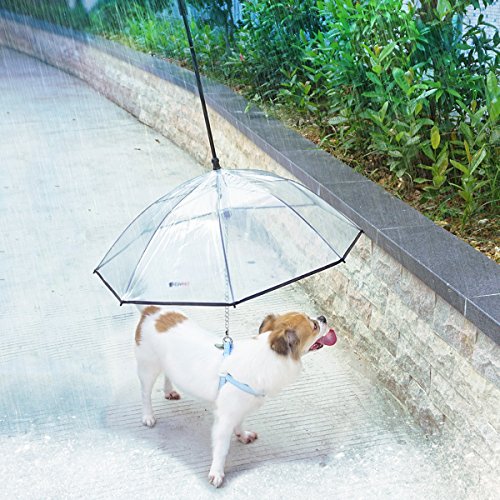 dog leash umbrella
