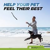 Buddy's Best Joint Support Liquid for Dogs 50ml Turmeric Natural Formula view 6