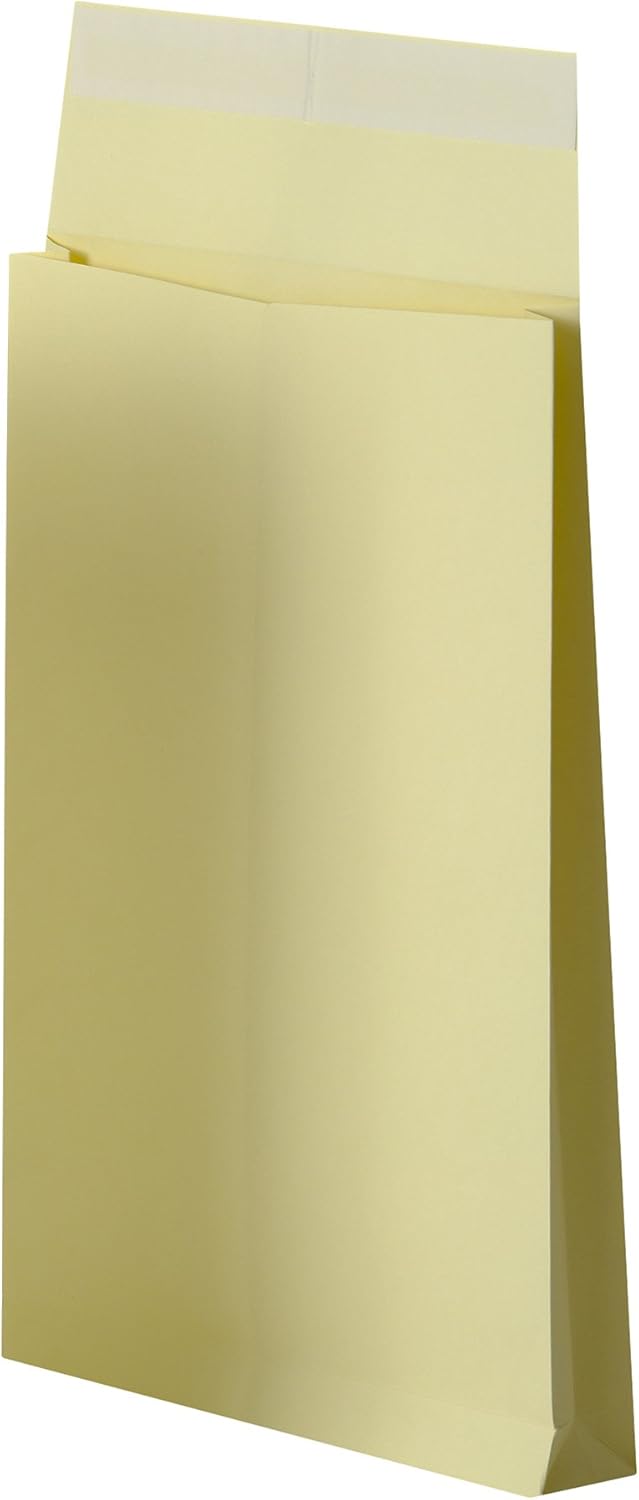 Oxford 100100809 229 x 324 cm Kraft Envelope with Self Seal, Bright Kraft Paper, 229X324