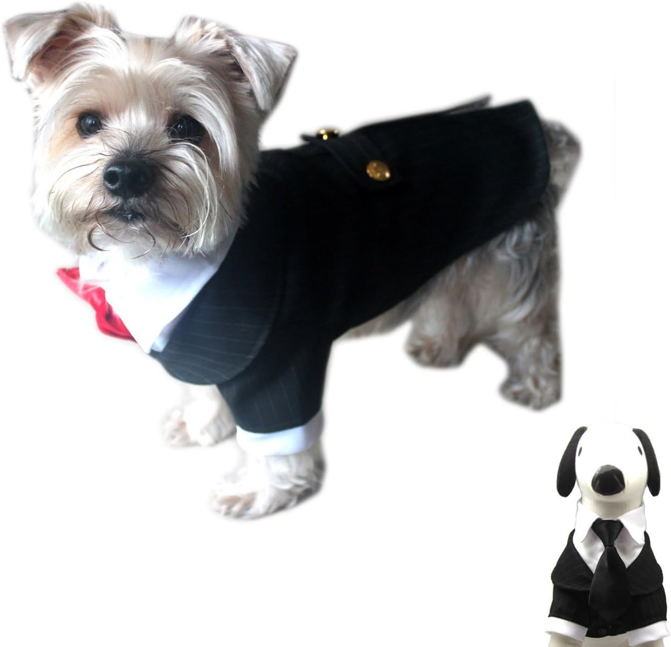 French Bulldog Clothes Top 15 French Bulldog Clothes You Can Buy