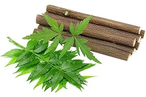 Neem Datun 15 Chewing Sticks Of Neem Datun Oral Herbal Teeth & Tongue Cleaner