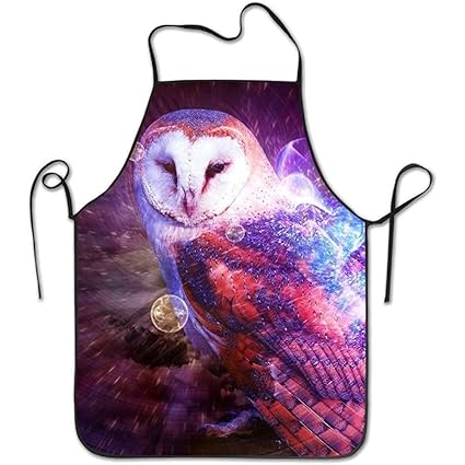 Amazon Com Yunnstr0u Animal Barn Owl Artistic Bird Owl Deluxe