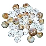 Generic 21 Pcs Gomti Chakra Set for Wealth, Health