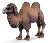 Two-humped Camel