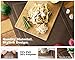 Nuovoware Placemats, [4 Pack] 11.8