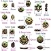 Antique Bronze Spacer Beads for Jewelry Making Small Brass Metal Beads & Bead Assortments for Bracelet Necklace Earring Making Brass Bead Spacers for Jewelry Making Brass Shapes for Crafts 500pcs