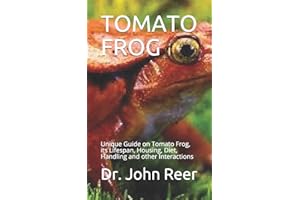 TOMATO FROG: Unique Guide on Tomato Frog, its Lifespan, Housing, Diet, Handling and other Interactions