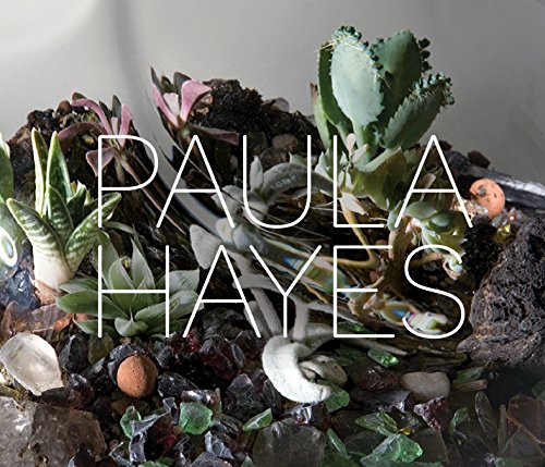 Paula hayes