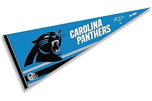 WINCRAFT Carolina Panthers Pennant Banner Flag