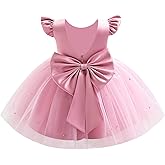 Infant Baby Girls Wedding Flower Girl Dress Pearls Tulle Tutu Dress Bowknot V Back Pageant Party Birthday Formal Dresses