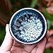 Birsppy Aeiniwer TANGDIAABBCC Runtu Kungfu Teacup Matcha Tea Bowl Temmoku JIANZHAN Chinese National Arts and Crafts Luxury Collectable Set Handcrafted Tea Bowl