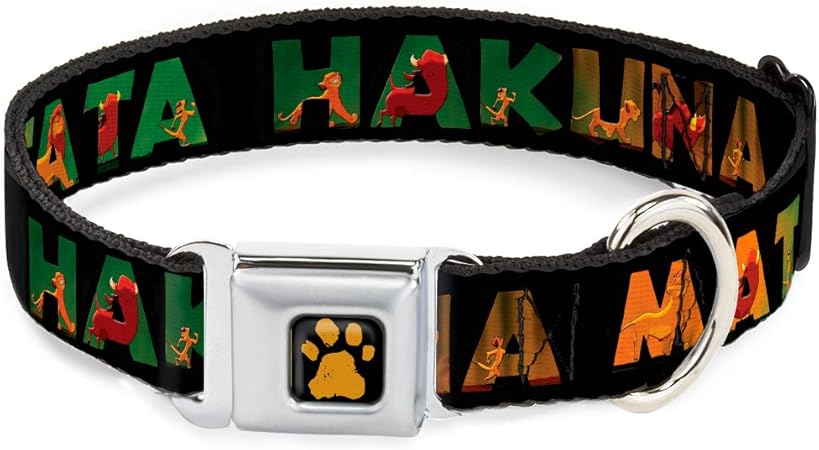 cat aggressive after spaying